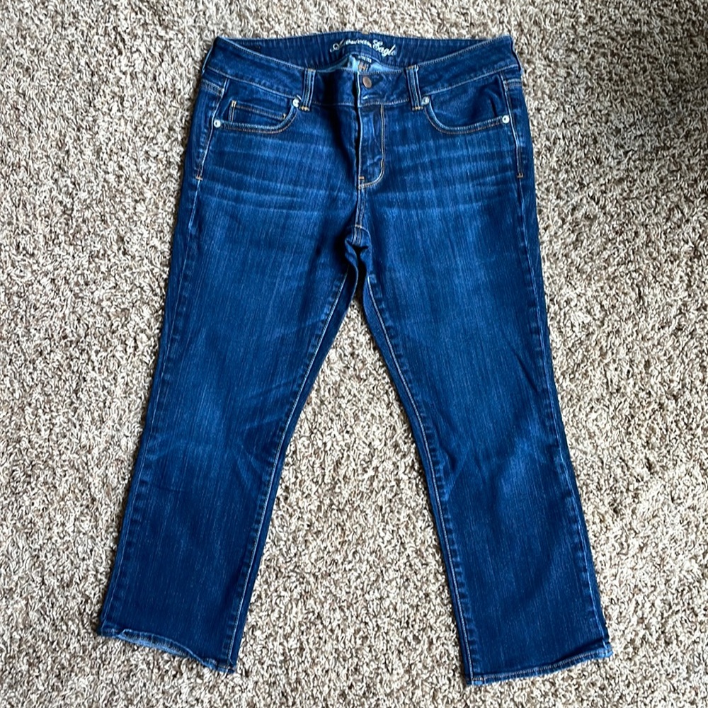 American Eagle Capri Jeans, Artist - Size 14